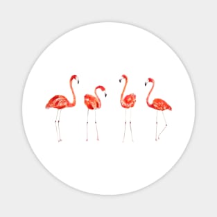 4 flamingos watercolor  painting Magnet